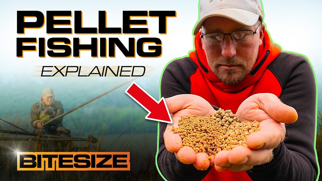 Pellet Fishing For F1's & Carp with Andy Bennett | Guru Bitesize #039