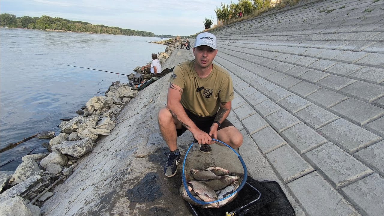 feeder ribolov na Dunavu (ne planiran trosatni feeder sa puno malih šaranaca)