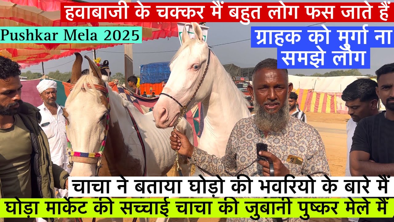 चाचा ने बतायी घोड़ा मार्केट की सच्चाई नए लोग हवाबाजी के चक्कर मैं ना आए !