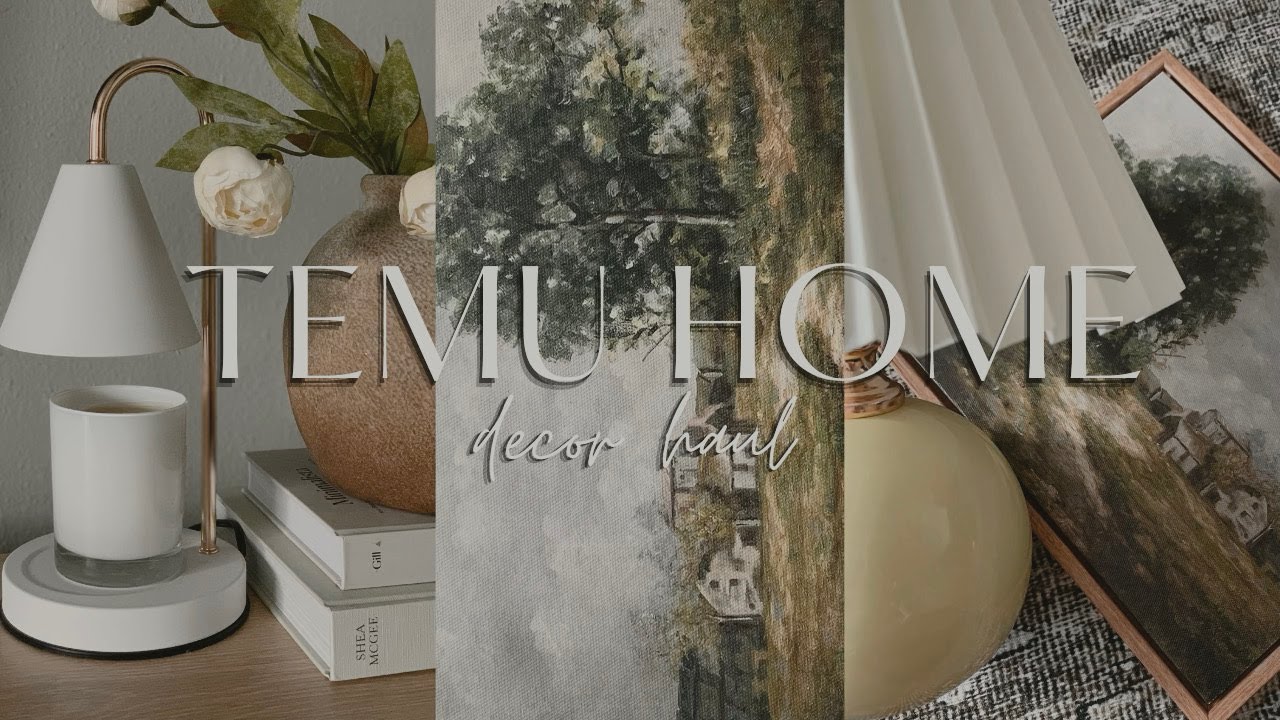2024 TEMU HOME DECOR HAUL | home decor + organization haul 2024