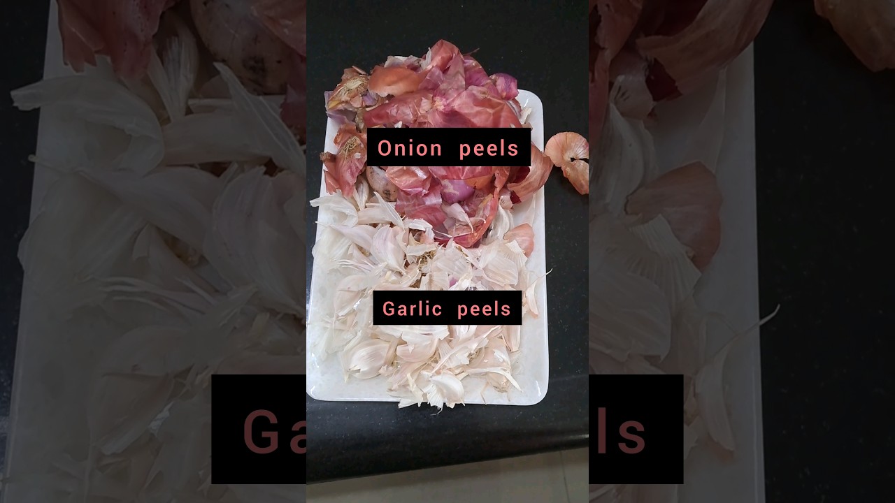 How to make easiest fertilizer from onion and garlic peels!! #organicfarming #gardeninglovers  🧅🧄🌿