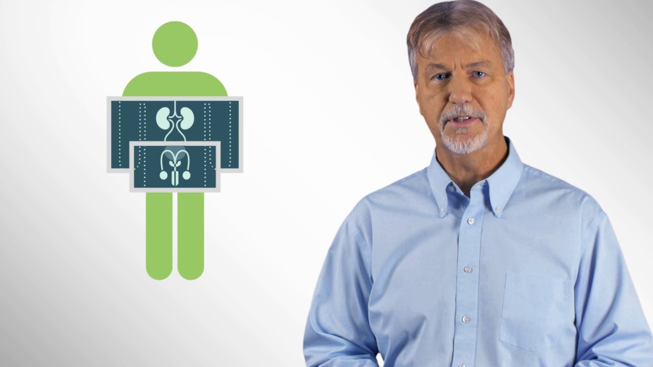 What is Urology? - American Urological Association