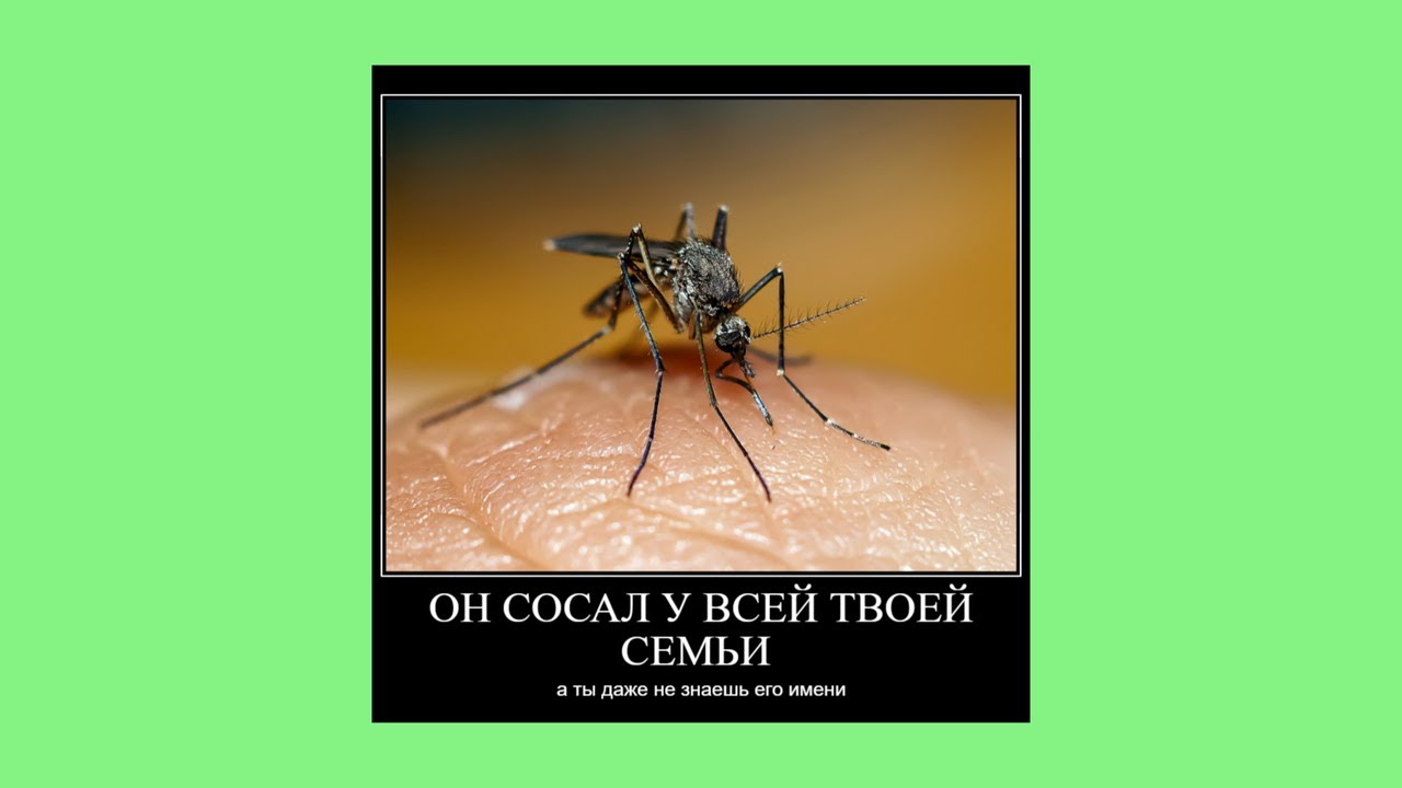 плейлист чтобы почувствовать себя комаром