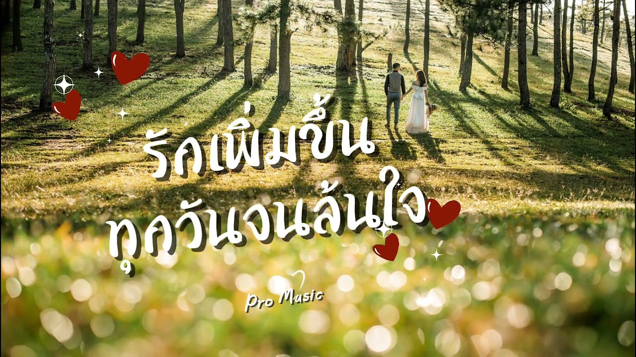 รักเพิ่มขึ้นทุกวันจนล้นใจ - Pro Music 