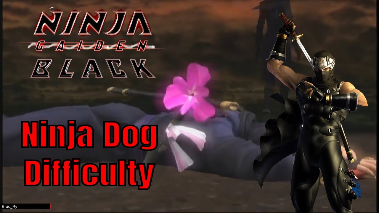 Сложность игры «Пёс-ниндзя»? Уморительно! — Ninja Gaiden Black
