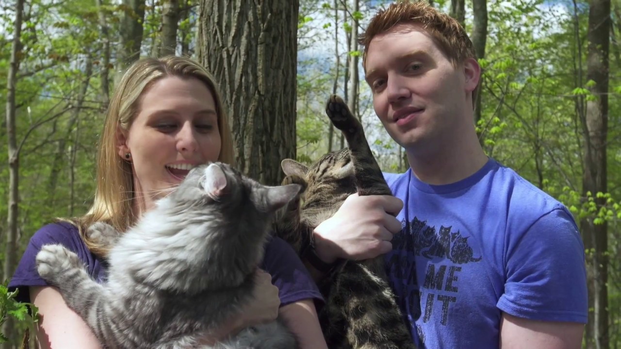 Guinness World Records 2018: Longest tail and tallest cat under one roof