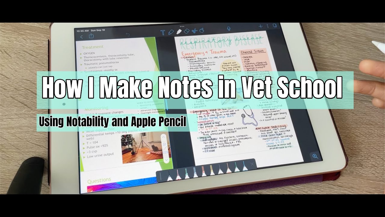 Как я делаю заметки в ветеринарной школе с Notability