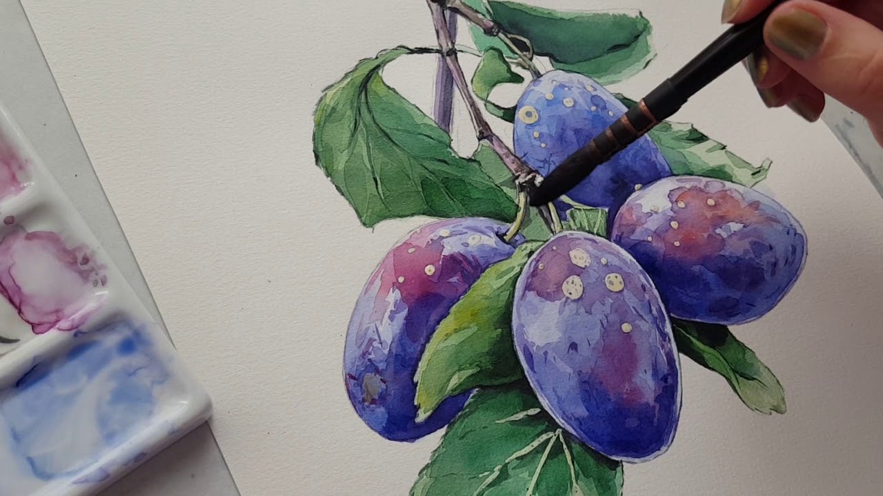 Watercolor painting process - plums