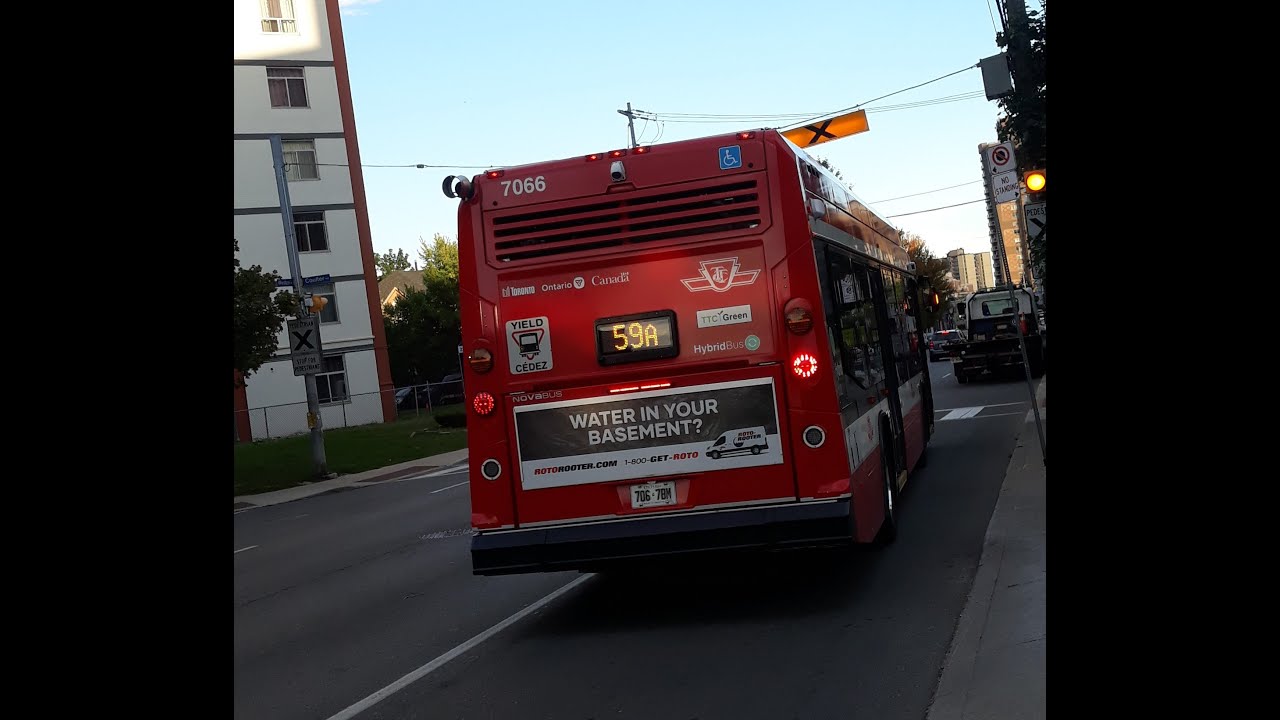 TTC 59A Maple Leaf  Bus ride - From Gulliver Rd to Coulter Ave 09/02/2025 #7066