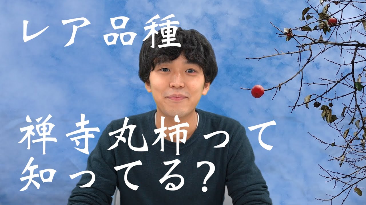 【雑学】レア品種！禅寺丸柿って知ってる？