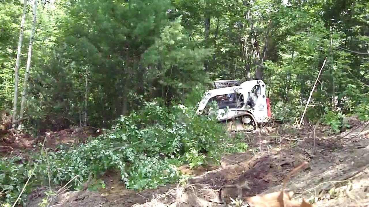 T300 Clearing trees
