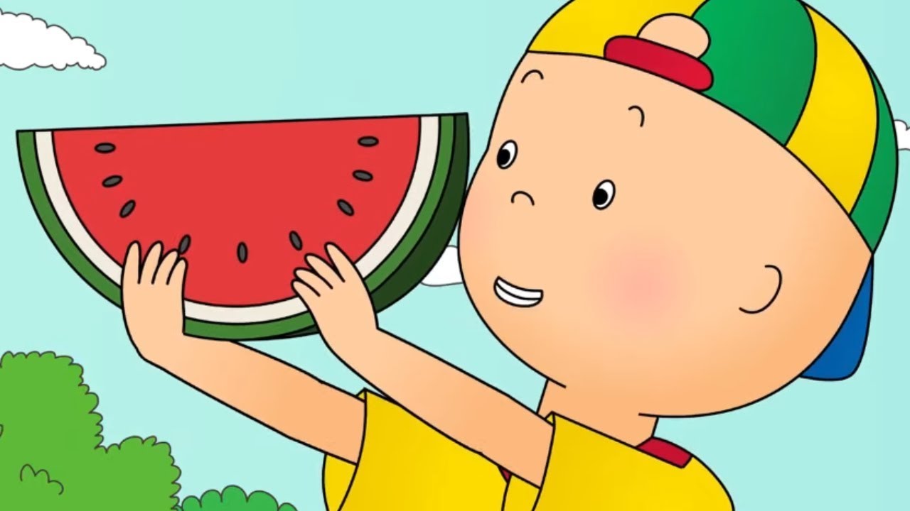 Caillou au Pique-Nique | Les Nouvelles Aventures de Caillou | Caillou en Français