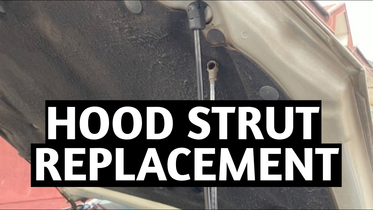 How To Change The Hood Strut On A Lexus ES 330