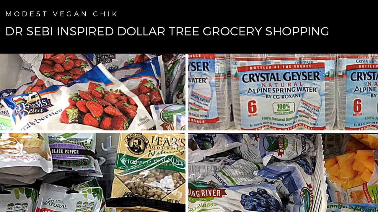 Dr Sebi Inspired Alkaline Grocery Shopping at DOLLAR TREE | Vegan | Budget Friendly