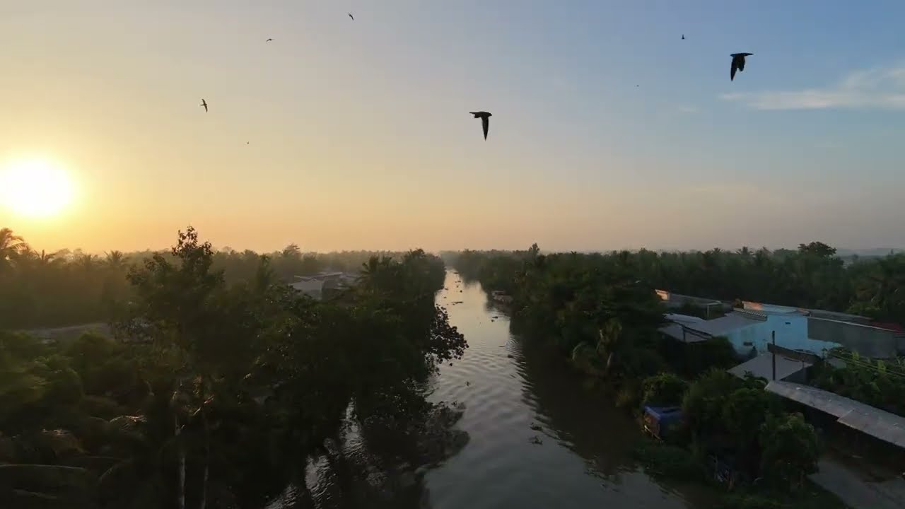 Phước Hưng - ngắm từ trên cao - Flycam 4K
