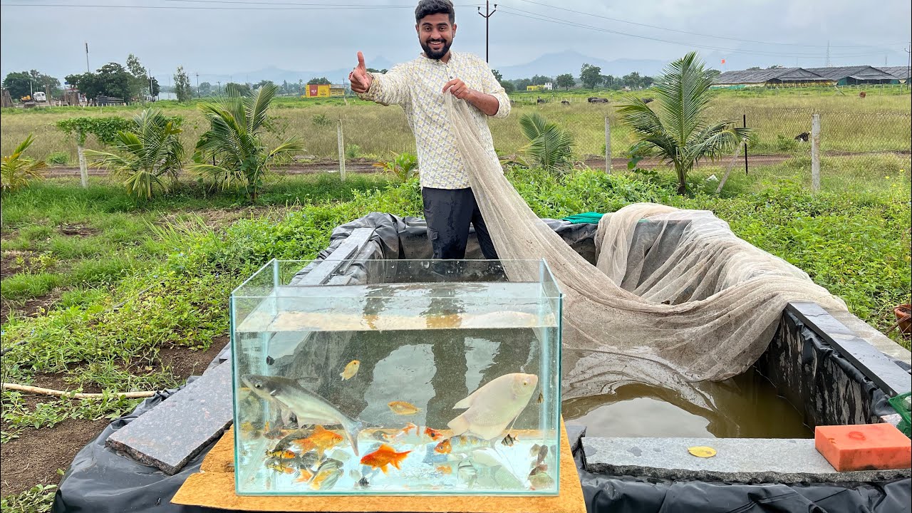 Sare Fish Nikal Liye Fish Tank Me 🐠