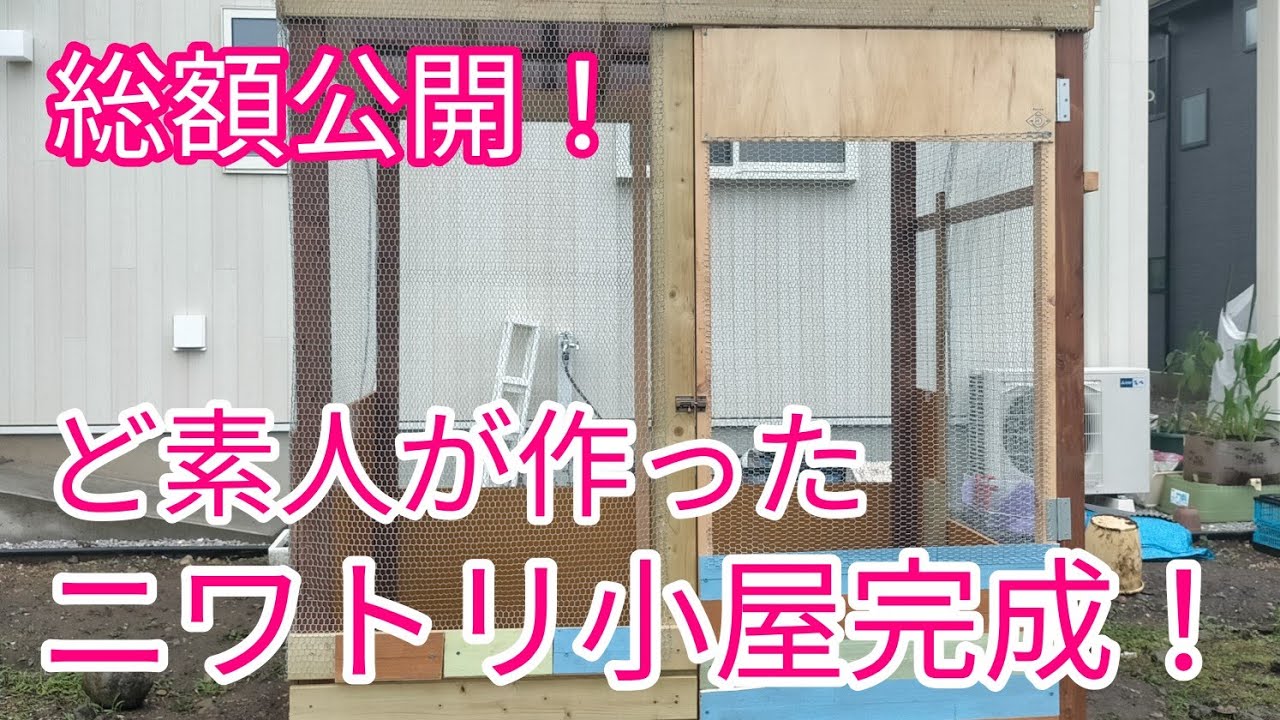 ど素人が鶏小屋作りに挑戦！予算オーバーの鶏小屋が完成しました！