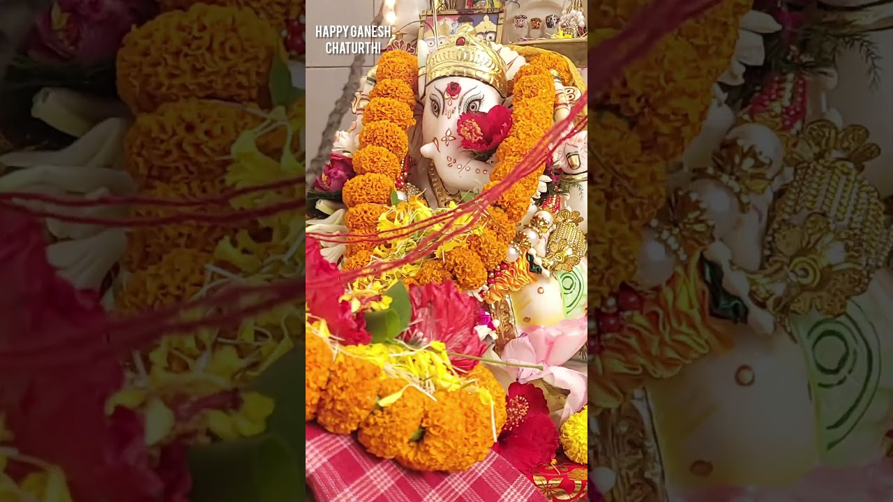ganeshchoturthi##ganpati #ganesha #gapujo #laalbaba