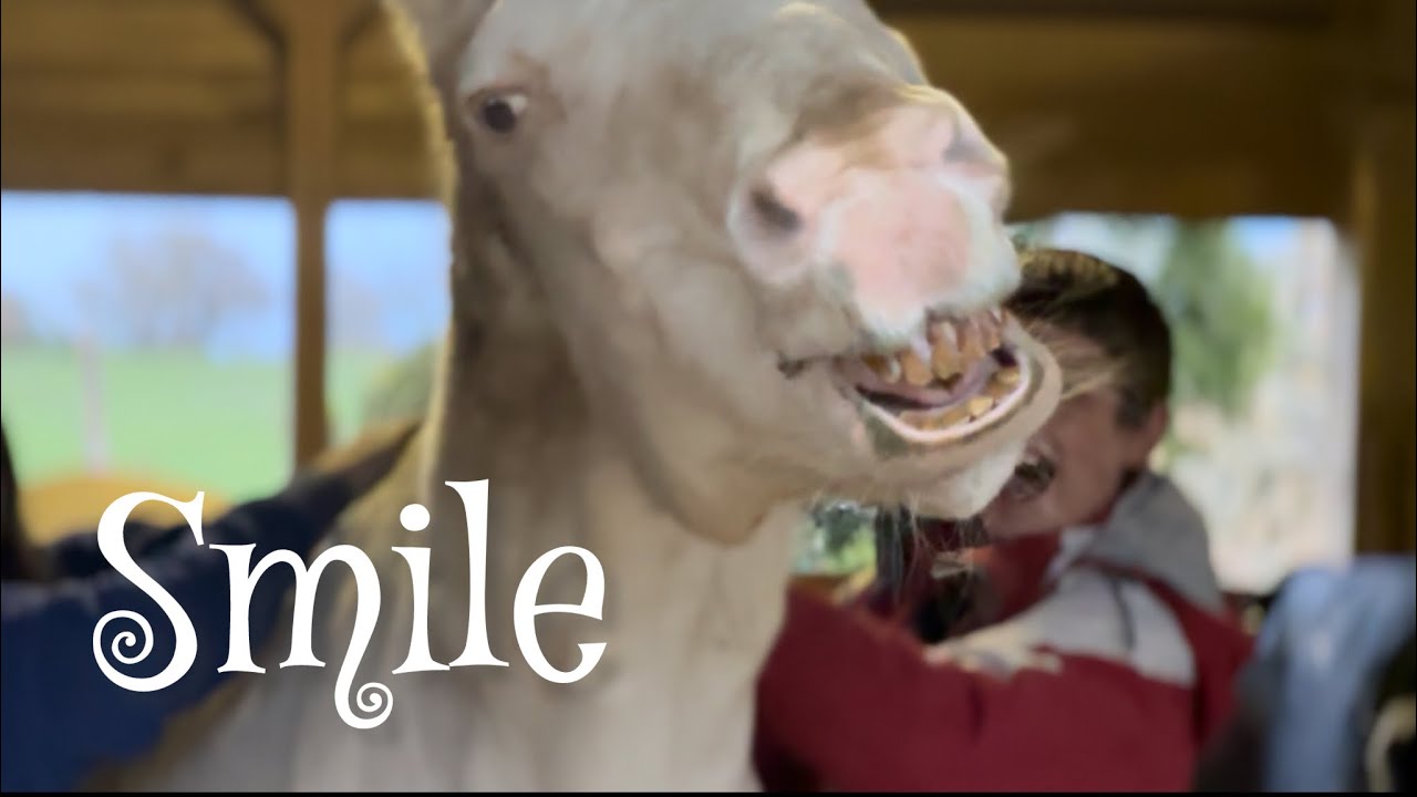 Smile and the world smiles with you …