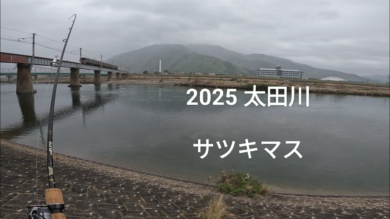 2025  太田川　サツキマス