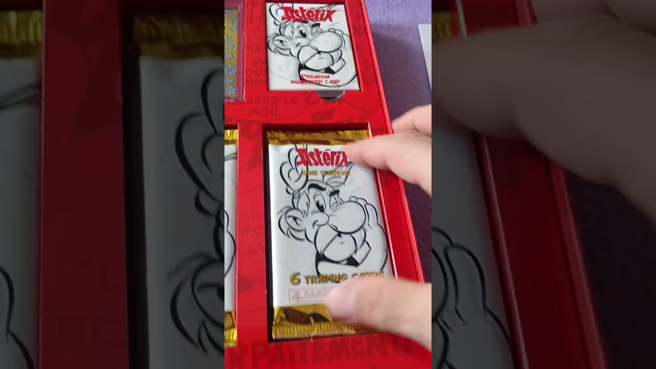 Panini Asterix Treasure Box 