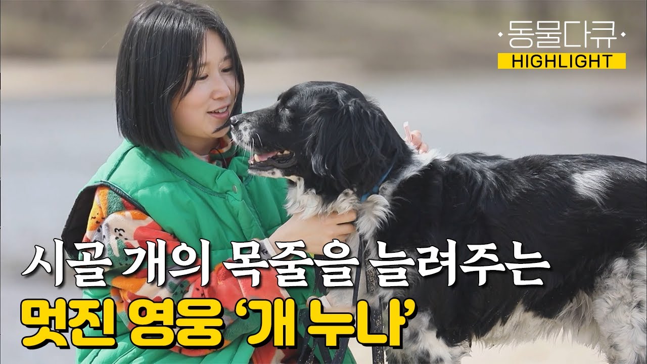 [동물극장 유튜브 오리지널] 시골 개의 짧은 목줄을 늘려주는 멋진 영웅! '개 누나'와 삼총사 🐶 | 동물극장 단짝 EP55 | KBS 230401 방송