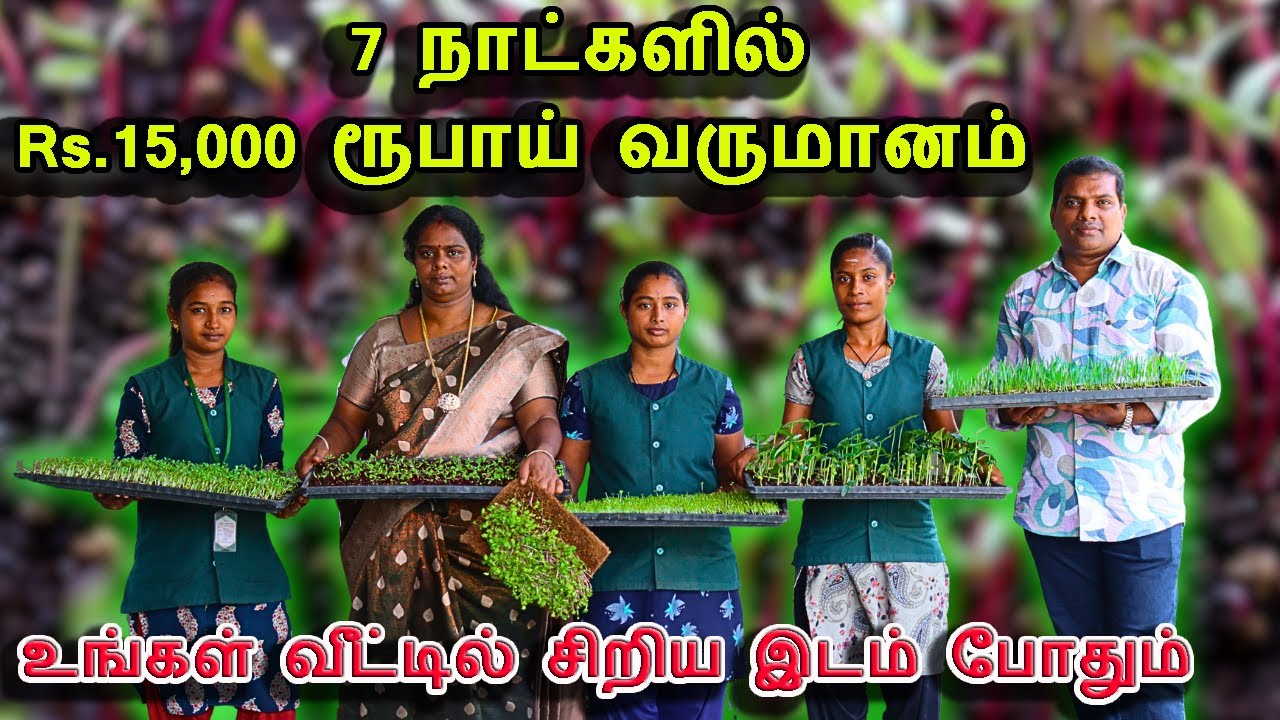7 நாட்களில் Rs 15,000 ரூபாய் வருமானம் | small business ideas in tamil for women