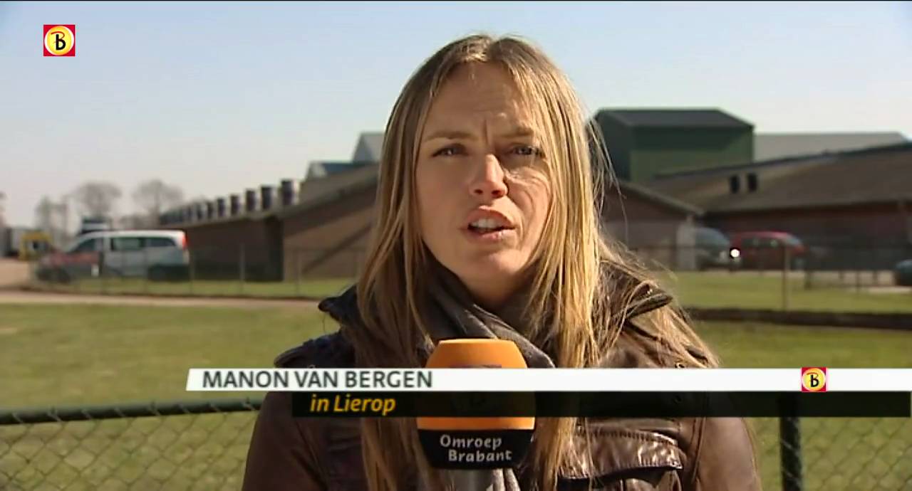 Verslaggever Manon van Bergen bij grote inval varkensbedrijf Lierop