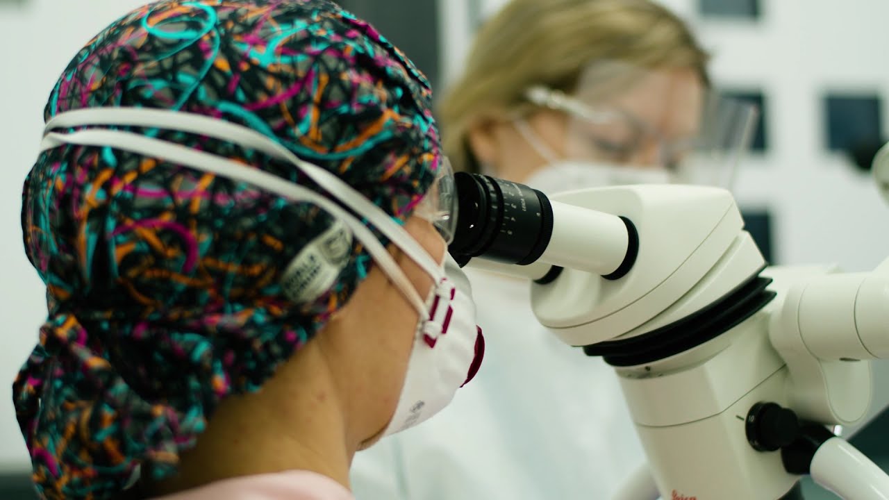 Jak wygląda leczenie kanałowe pod mikroskopem? -Varsovia Dental