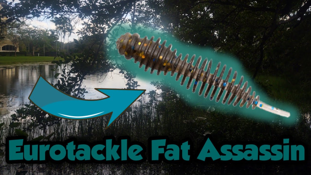 Ultralight Fishing the Eurotackle Fat Assassin