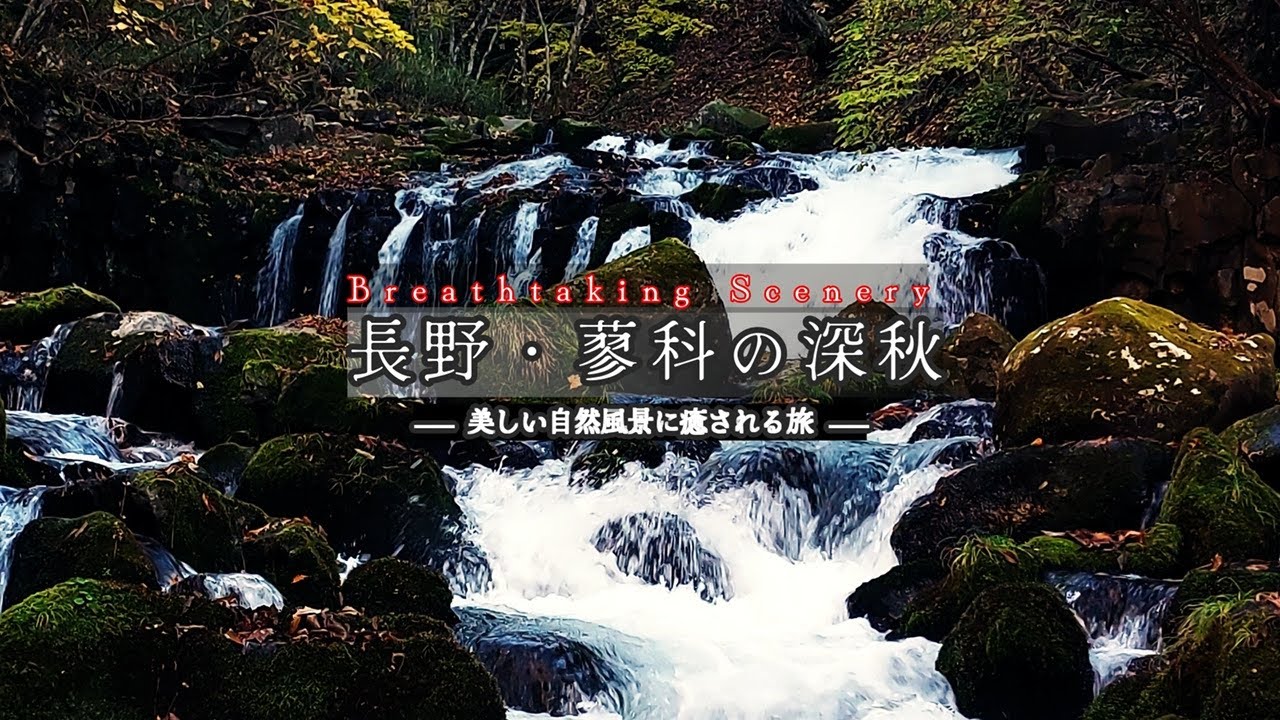 【蓼科散歩】 ‐ 晩秋の光景 ‐ 蓼科の自然が持つ静かで落ち着いた雰囲気を味わう