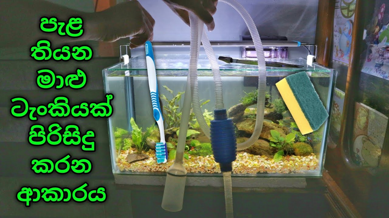 How to Maintain an AQUASCAPE | Maintain a Planted Tank | Cleaning!!!