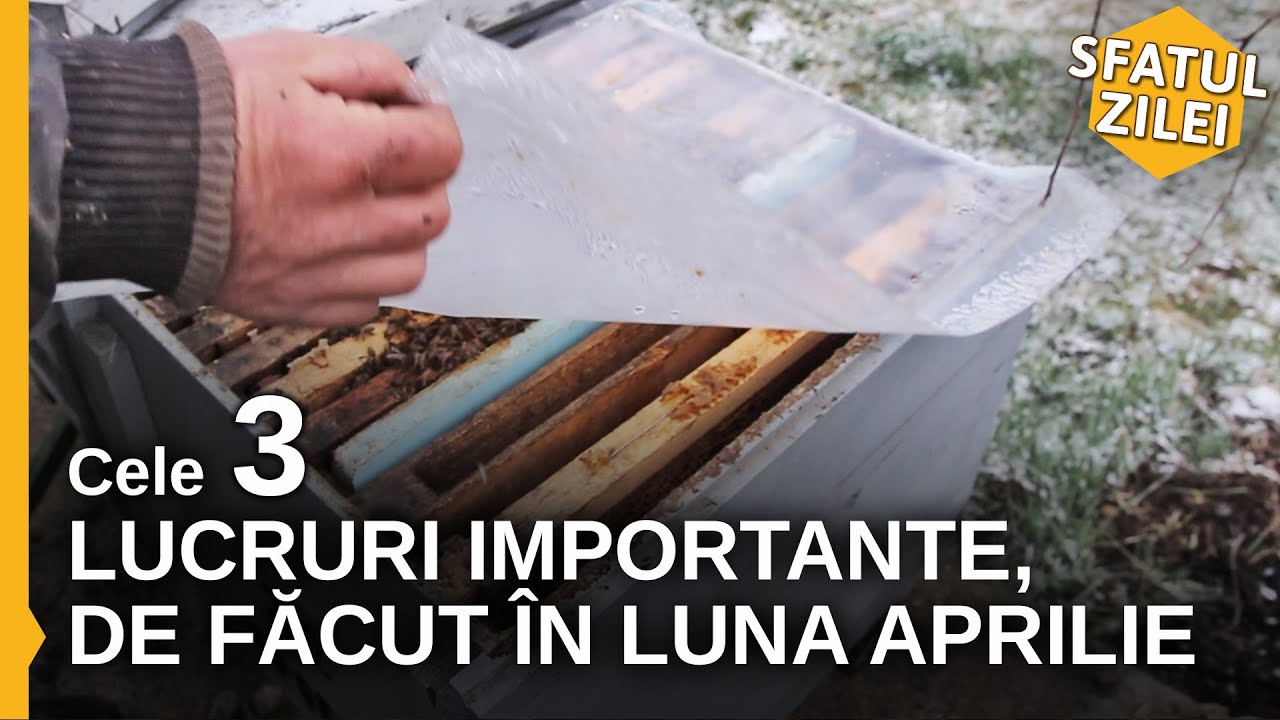 Cele 3 lucruri importante, de facut in luna aprilie - Sfatul Zilei