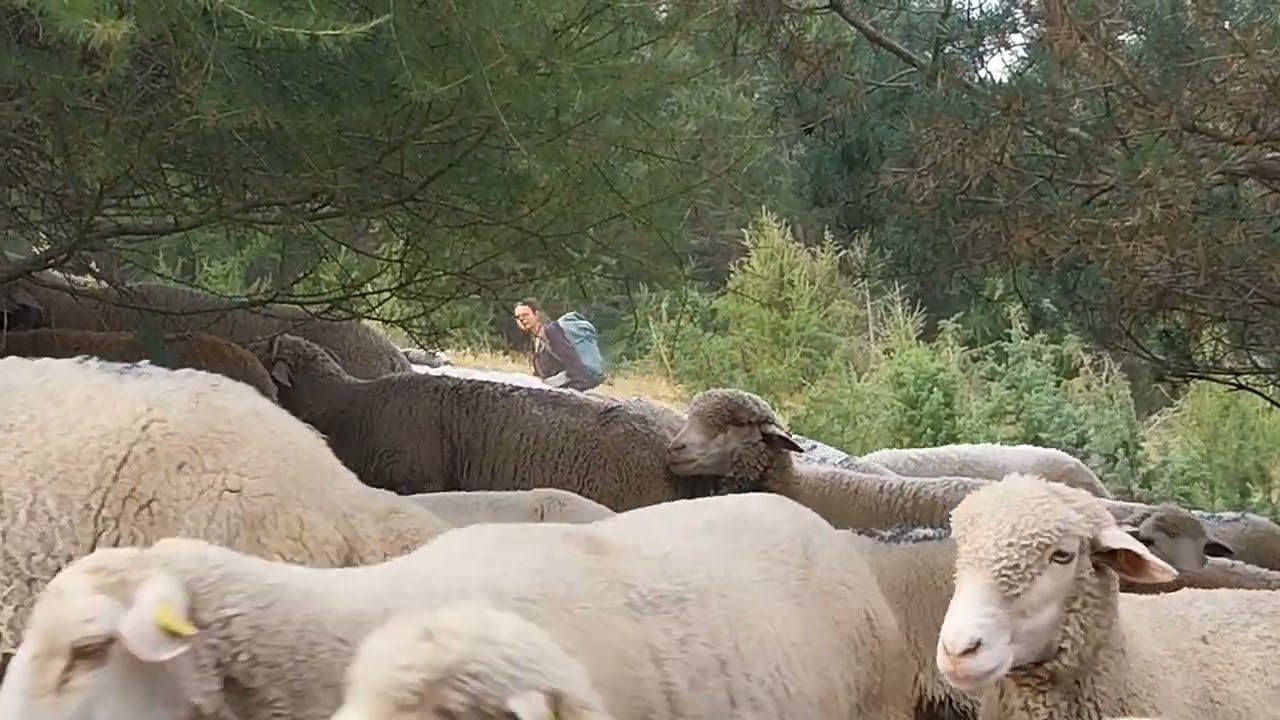 1° Capítulo de la entrevista!! La vida de una pastora