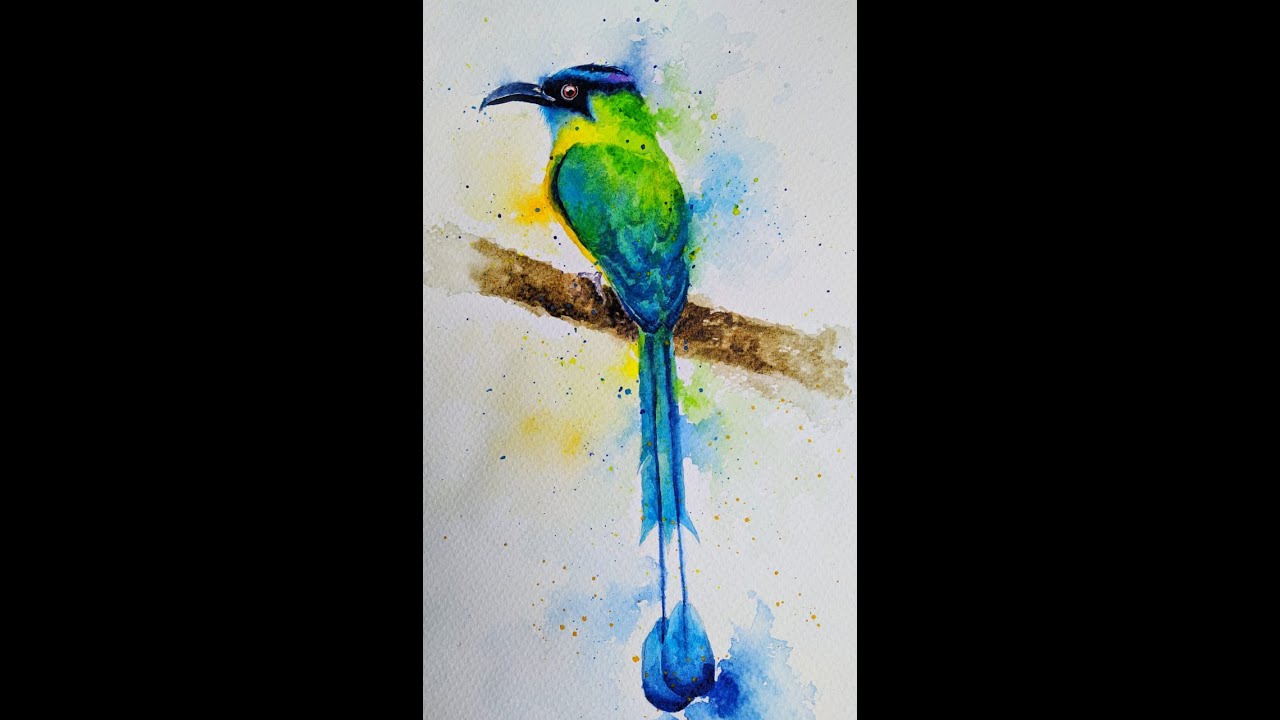 Clase de pintura en acuarela - Pájaro Barranquero