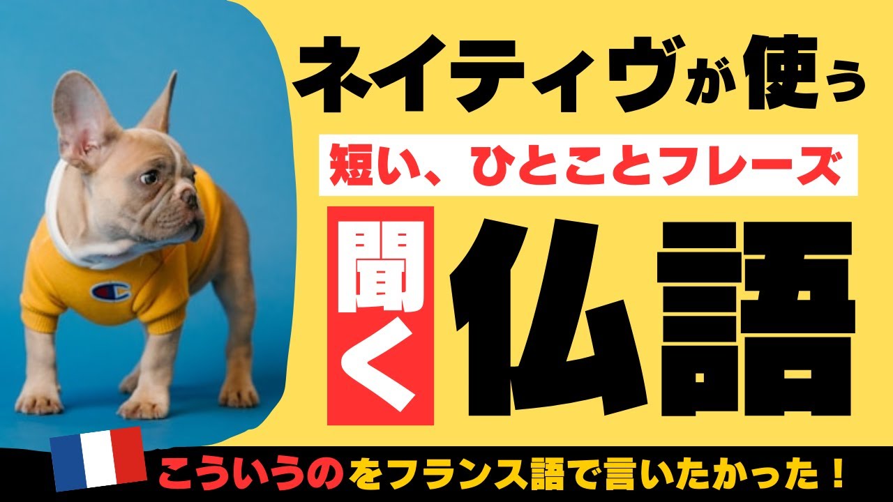 こういうのをフランス語で言いたかった！ネイティヴが使う一言フレーズ、聞き流し #181