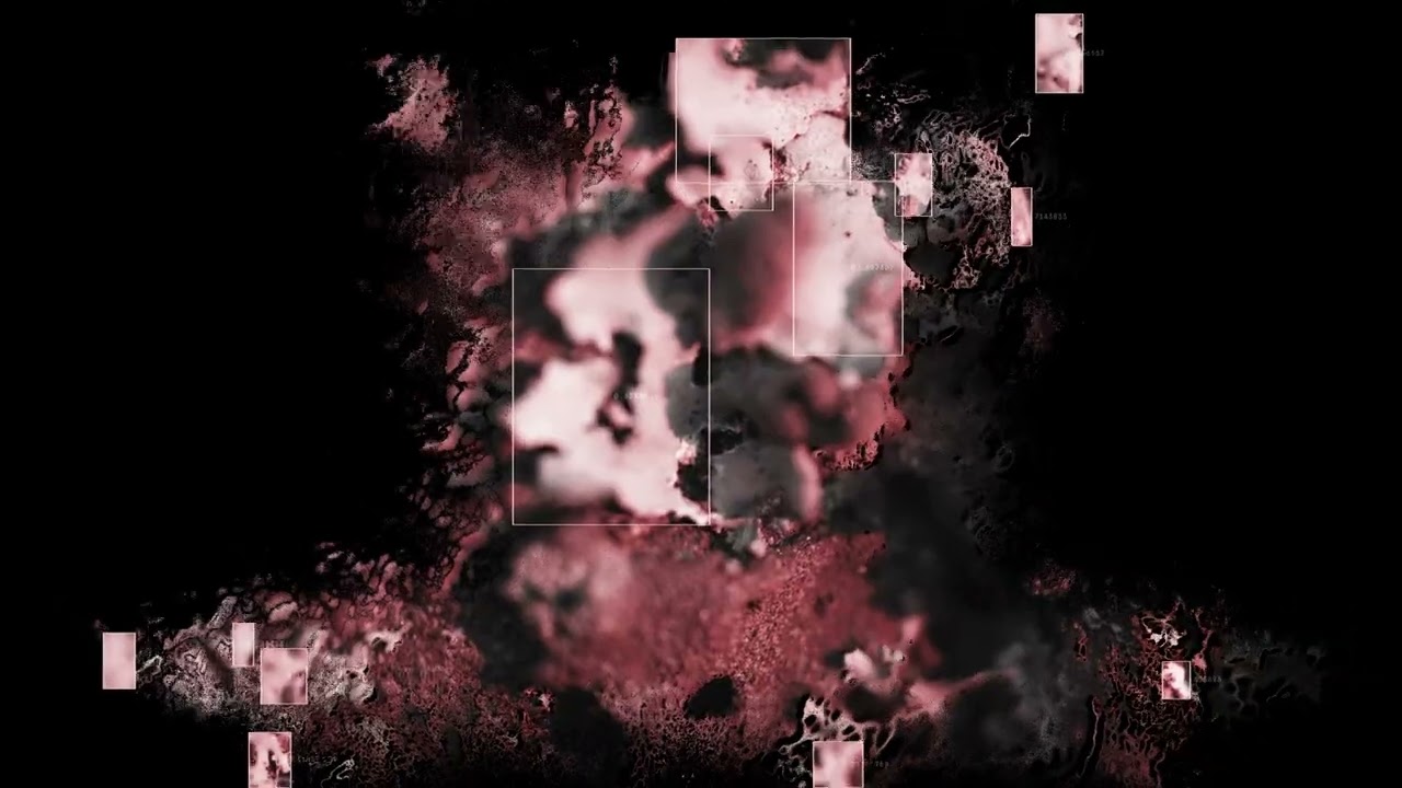 Drum & Lace  - Lichen