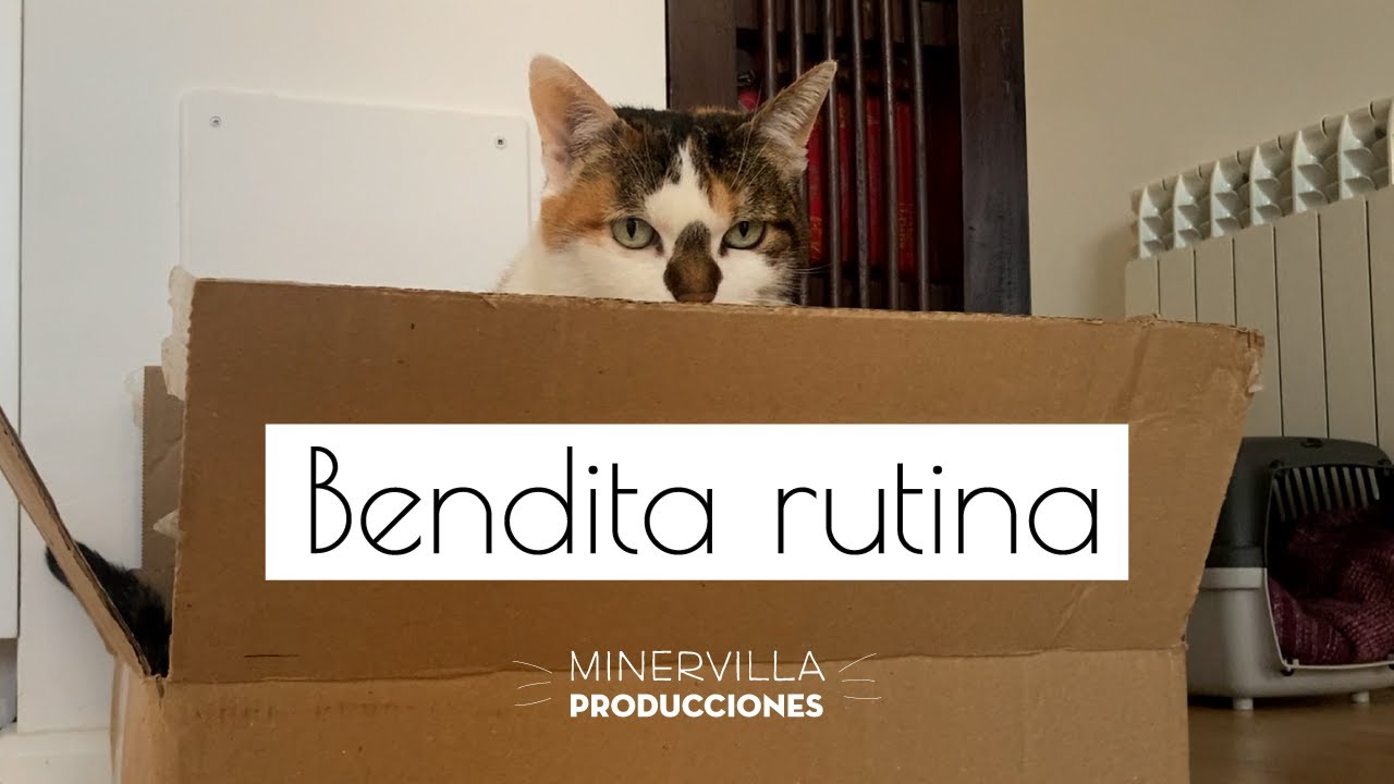 Bendita rutina vlog 19. Fin de semana tranquilo.