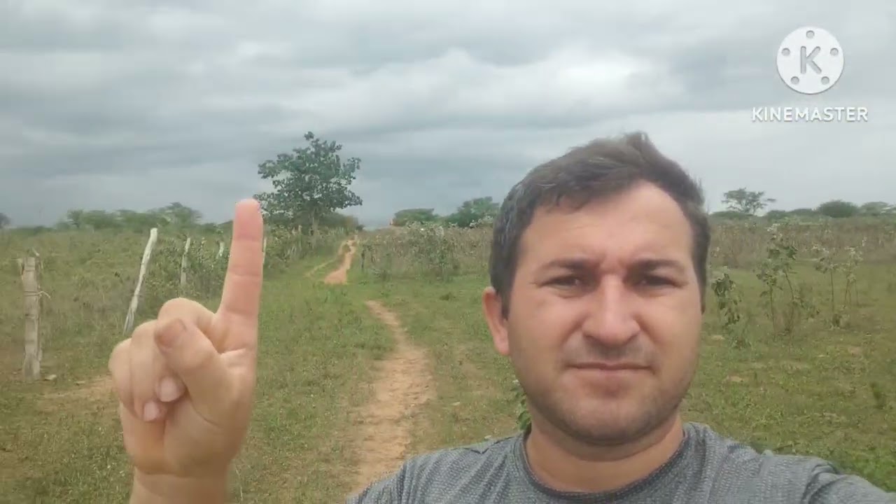 Fui buscar silo 
