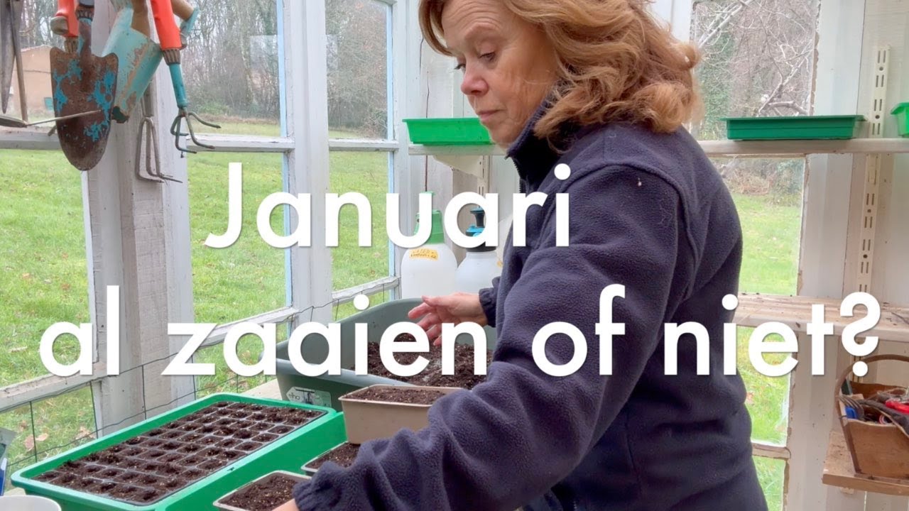 Ini's Moestuin #216 Januari, kun je al zaaien of niet? Hoe doen de groenten het in de tunnels?