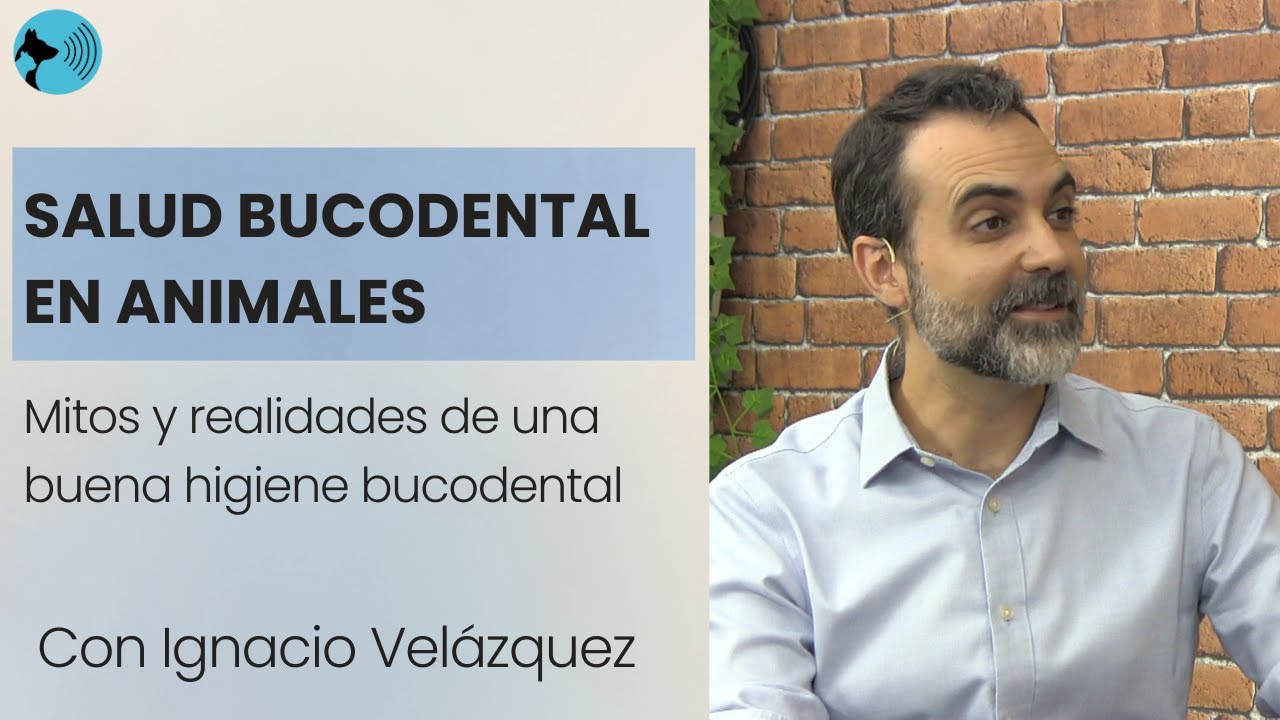 SALUD BUCODENTAL EN ANIMALES