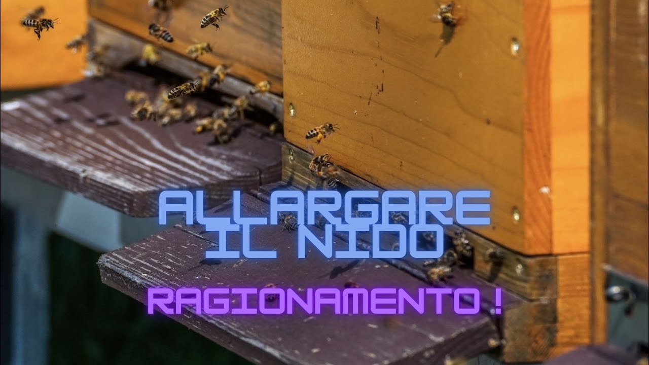 Incomincio ad allargare oppure no? Marzo 2022
