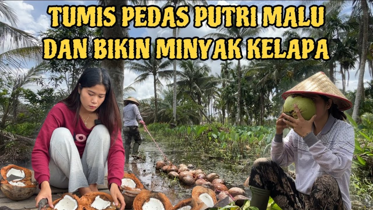 MENCOBA BIKIN MINYAK KELAPA HASIL KEBUN SENDIRI DIRUMAH