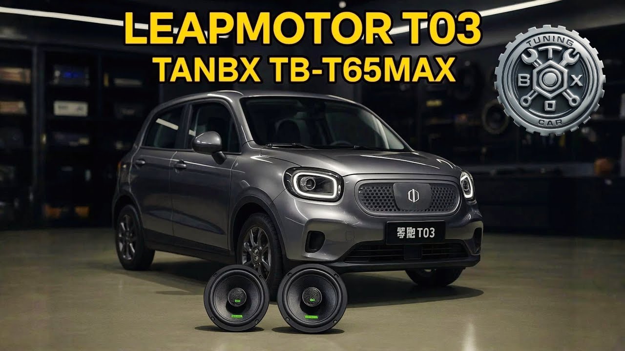 LEAPMOTOR T03 &mdash; TANBX TB-T65MAX O&lsquo;RNATISH | УСТАНОВКА TANBX TB-T65MAX