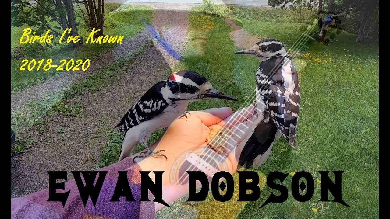Ewan Dobson - Birds I've Known [2018-2020]