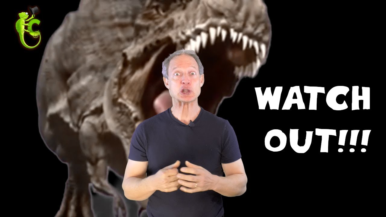 Learn words for dangerous situations
