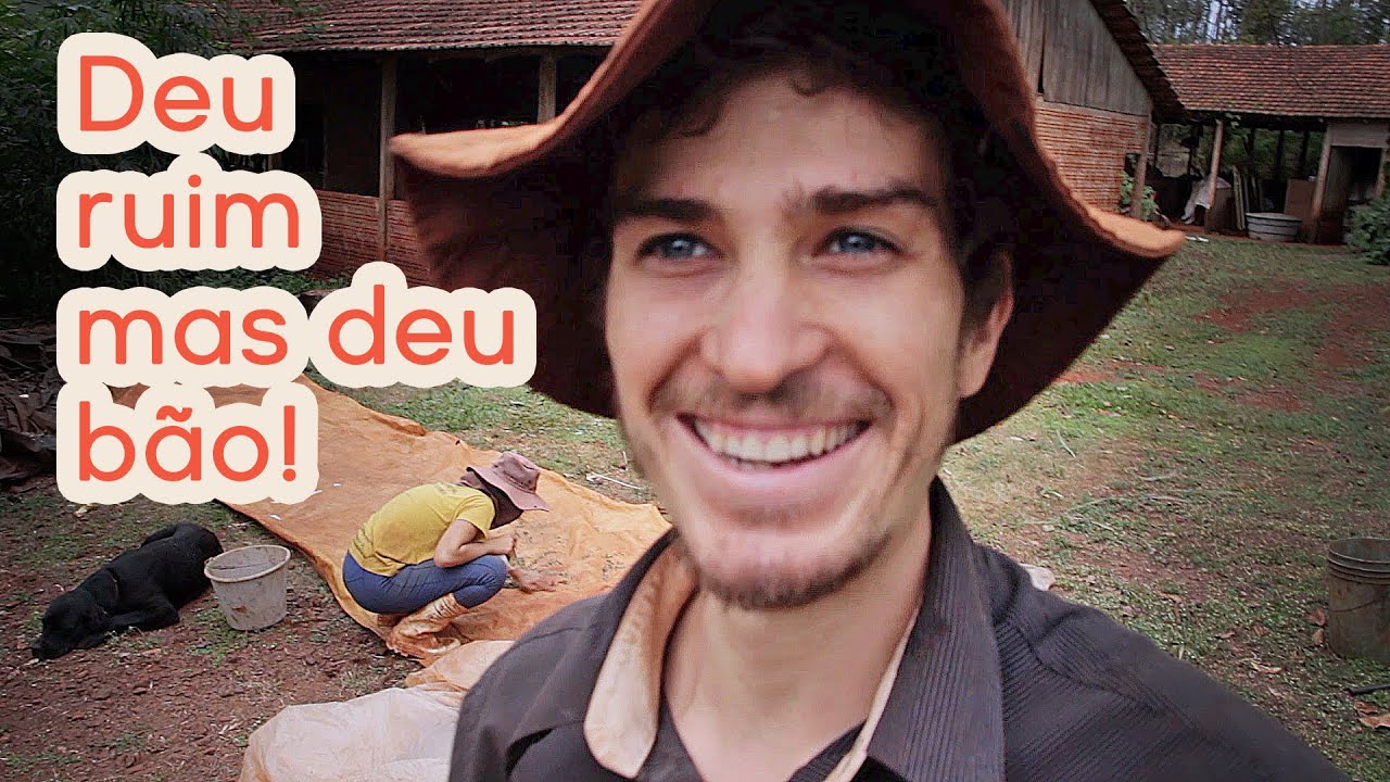 Colhemos R$440 reais em feij&atilde;o moyashi!?
