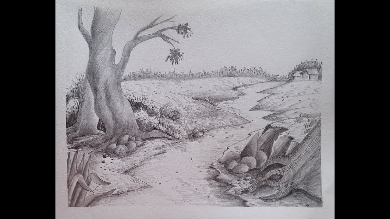 How to draw simple and easy nature scenery with a tree using pencil - Landscape with small pathway