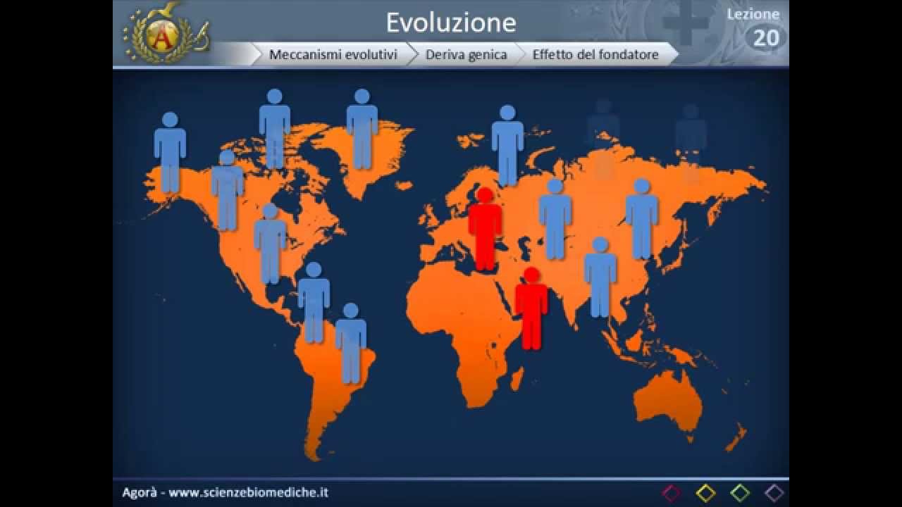 Evoluzione (parte 2)
