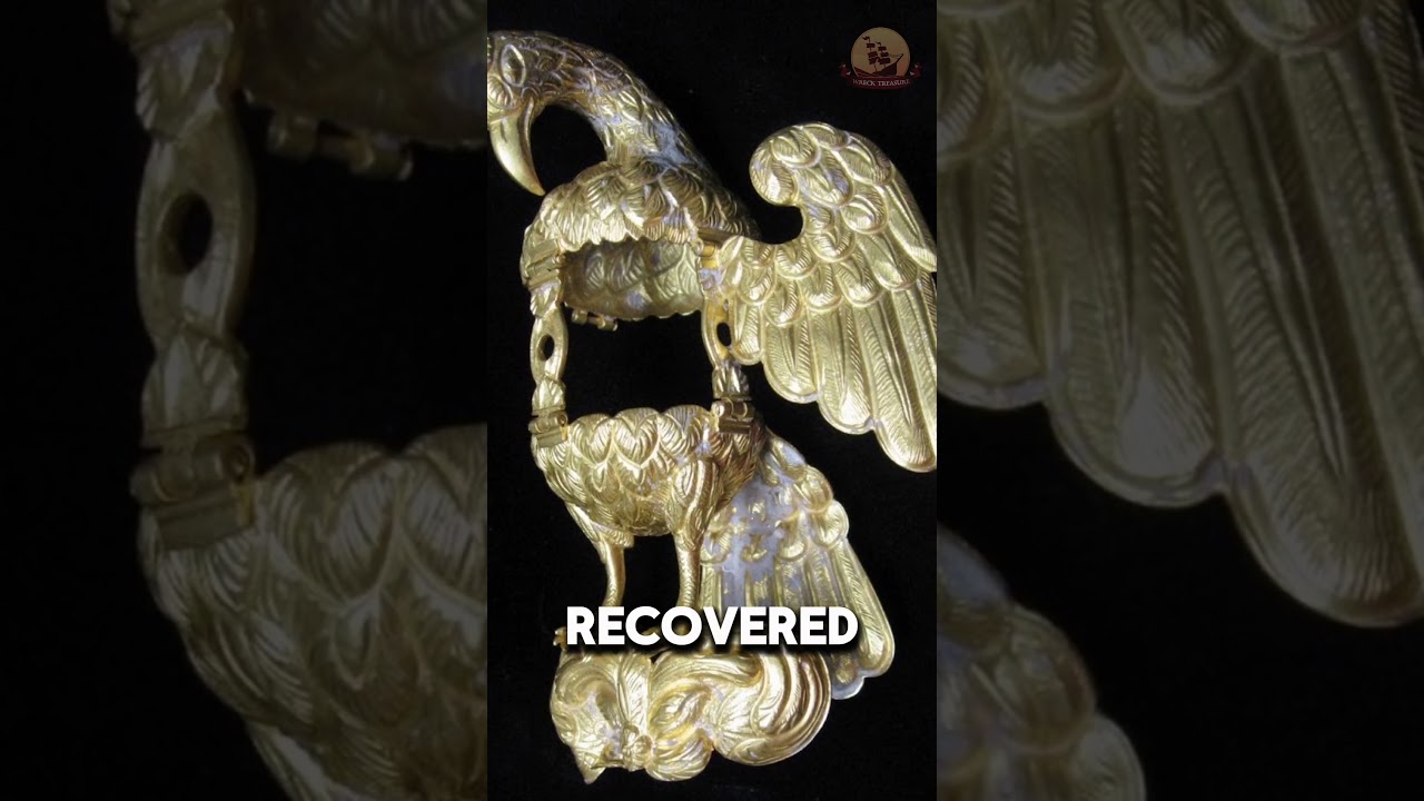 One of the Most Expensive Shipwreck Artifacts Ever Found! 